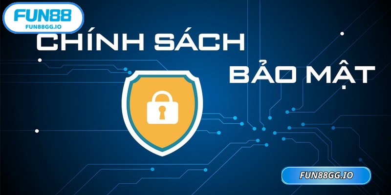 Các quy định được hệ thống cập nhật thường xuyên